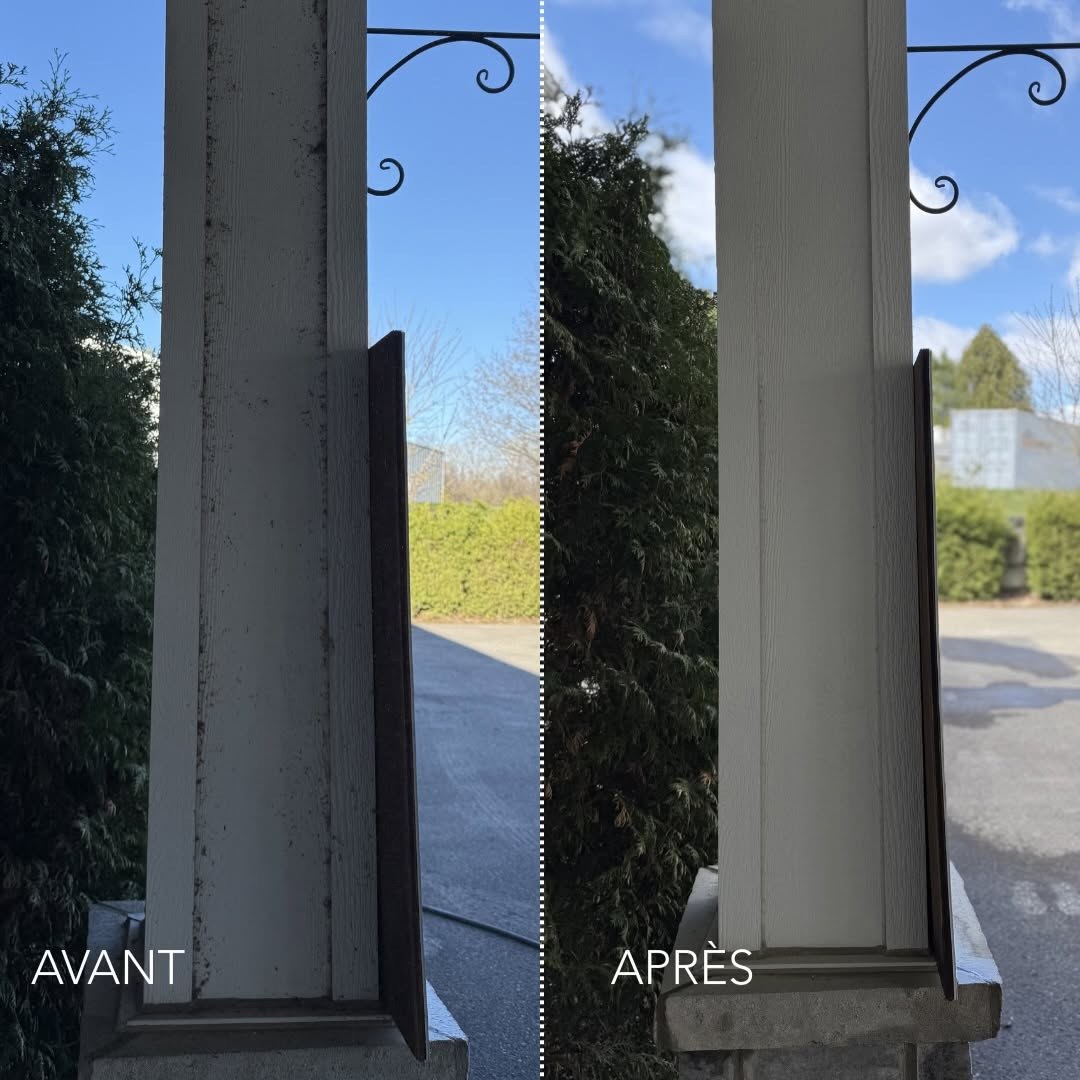 Lavage doux et nettoyage extérieur (7)